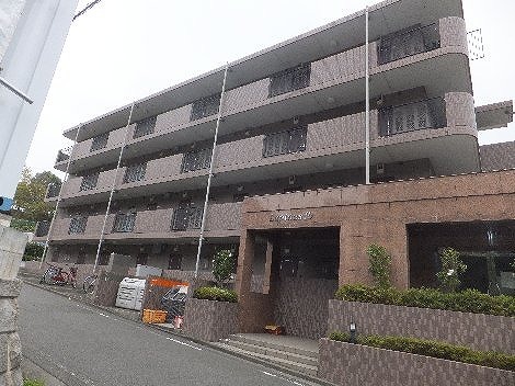 ルピナス10